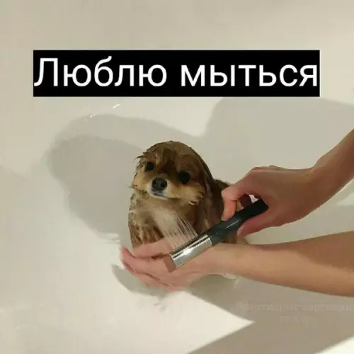 Смешная картинка №260850