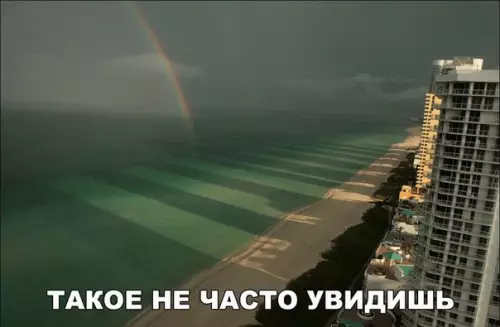 Смешная картинка №194533