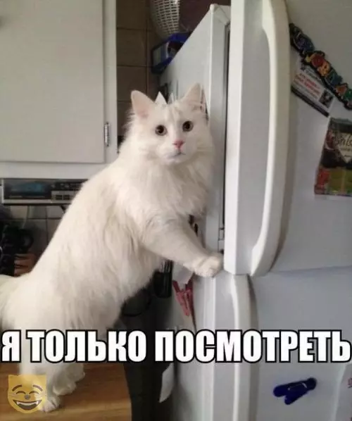 Смешная картинка №374564 #приколы #картинки #мемы ?