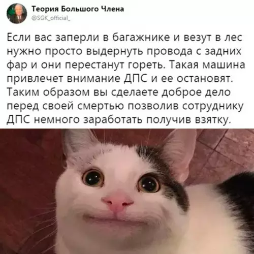 Смешная картинка №690584