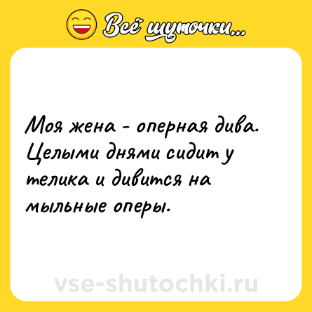 Шутка: Моя жена - оперная дива. Целыми днями сидит у телика и дивится на мыльные оперы.