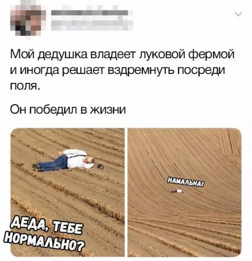 Смешная картинка №335093