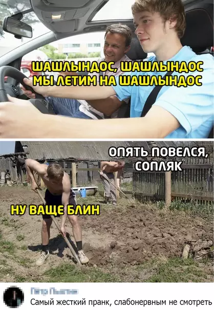 Смешная картинка №496780 лето
