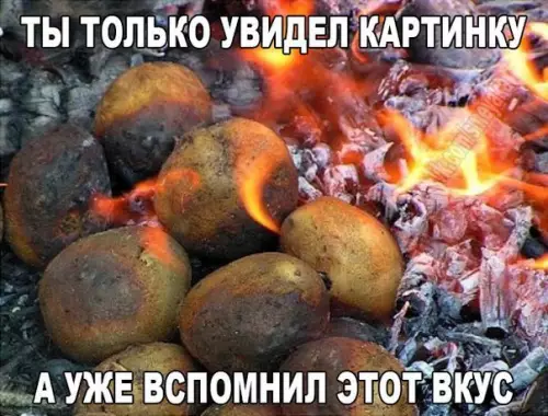 Смешная картинка №173592