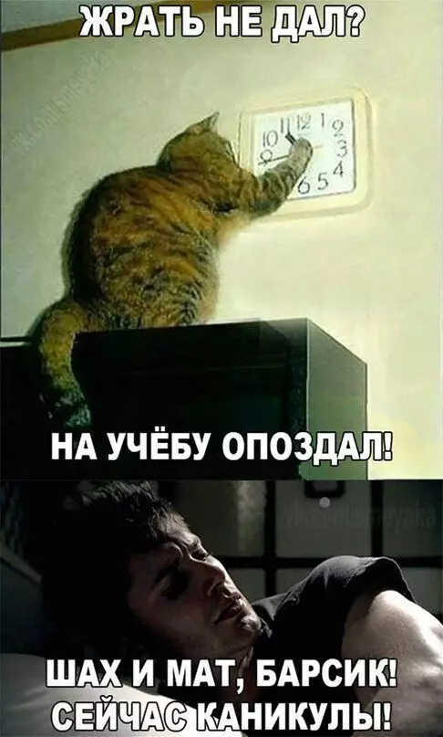 Смешная картинка №240456
