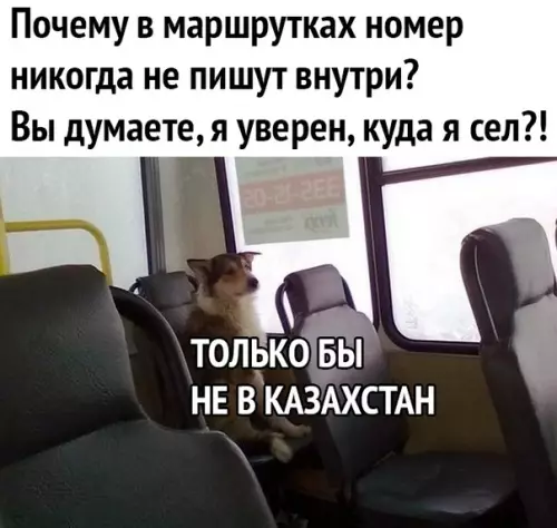 Смешная картинка №460291 Действительно