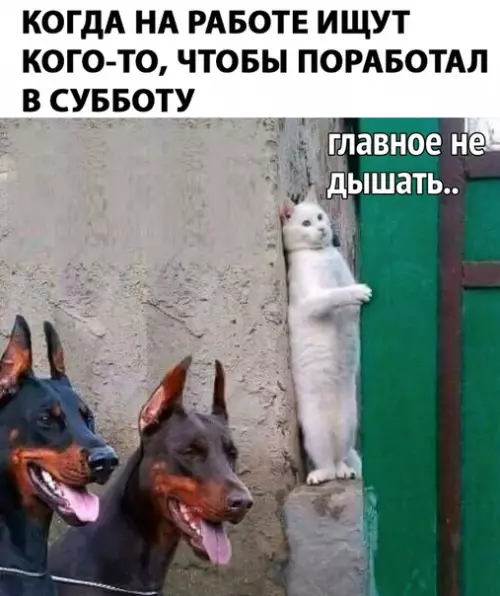 Смешная картинка №281766