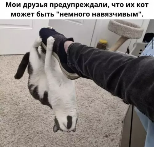 Смешная картинка №609836