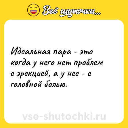 Шутка: Идеальная пара - это когда у него нет проблем с эрекцией, а у нее - с головной болью.