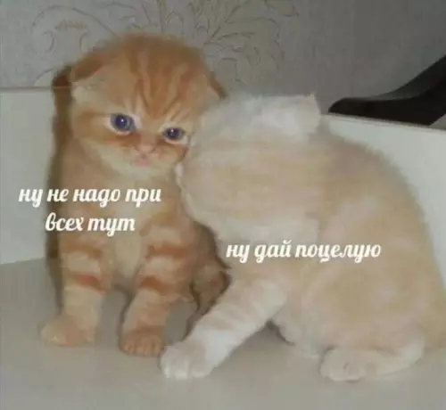 Смешная картинка №784530