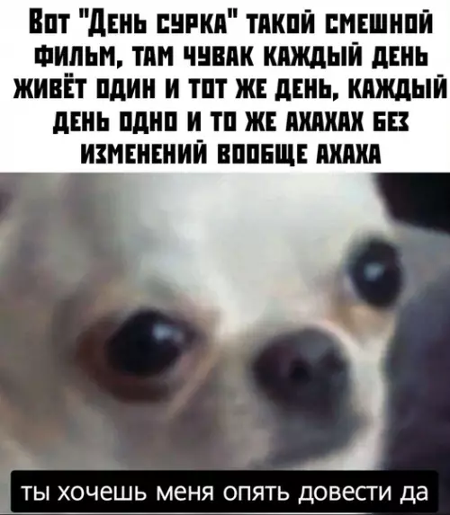 Смешная картинка №495908