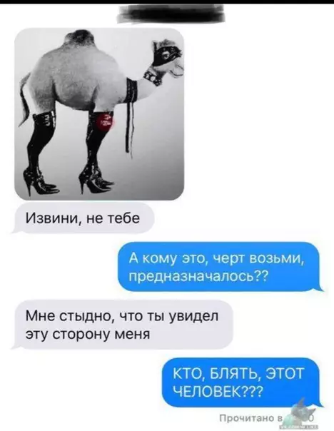 Смешная картинка №324153 переписка