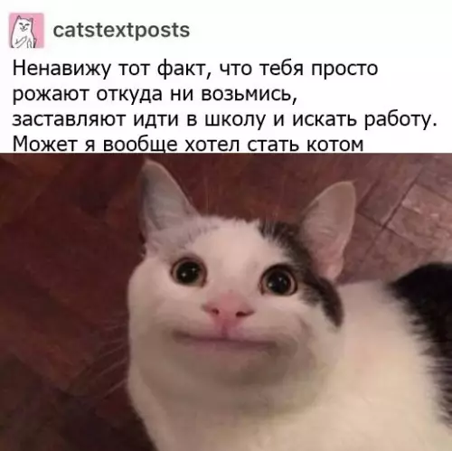 Смешная картинка №454942 И жить на помойке ??