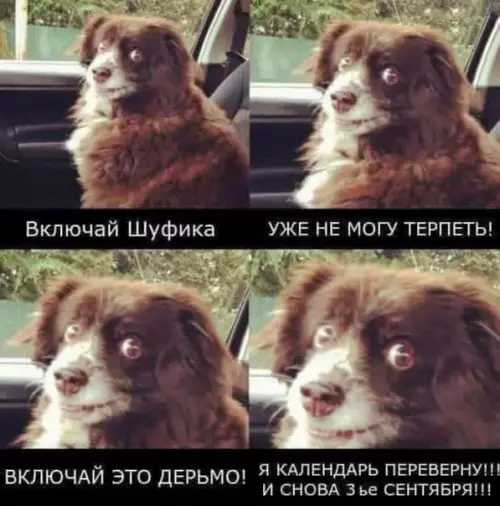 Смешная картинка №382689 Наступило