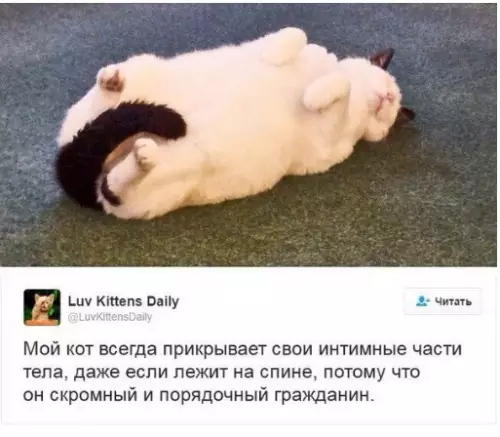 Смешная картинка №303860