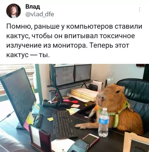 Смешная картинка №711429