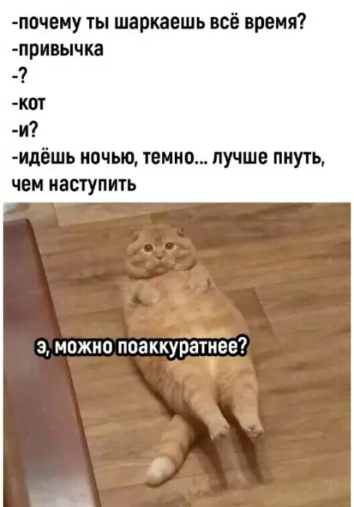 Смешная картинка №722535