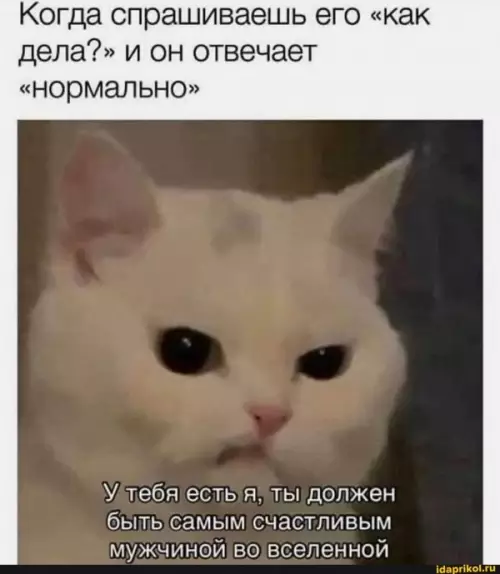 Смешная картинка №589643