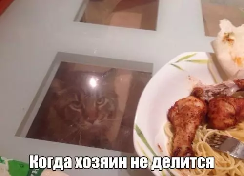 Смешная картинка №308636