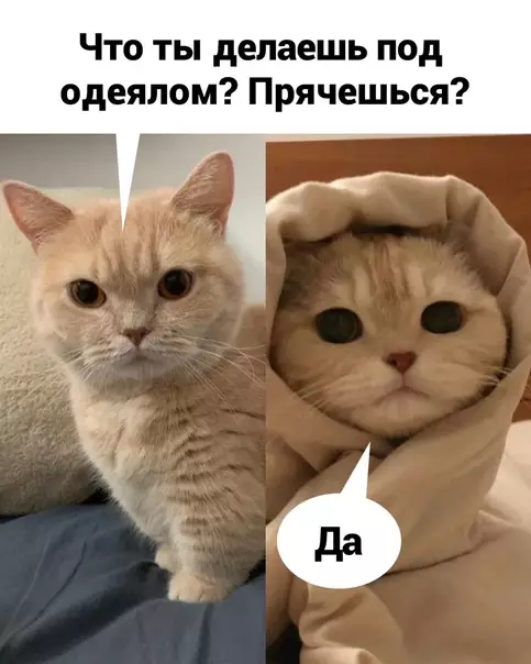 Смешная картинка №567845 Этo paбoтaeт