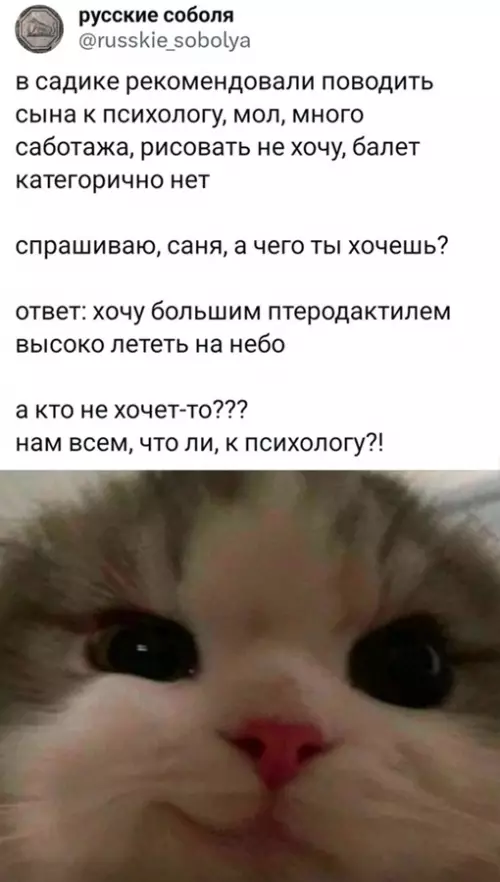 Смешная картинка №711397