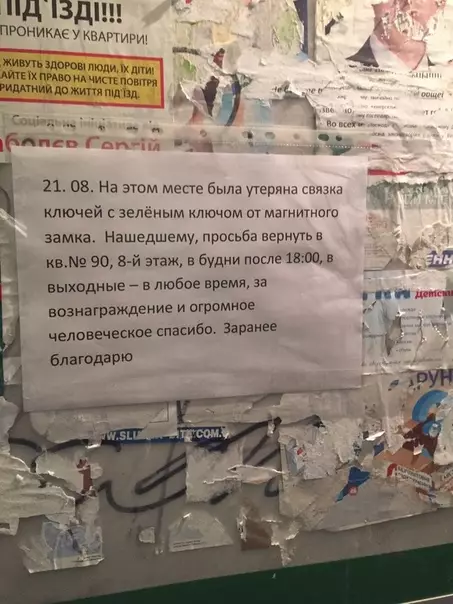 Смешная картинка №298138 Золото лежит на шкафу, деньги спрятаны под ковром. И покормите Барсика, пожалуйста.