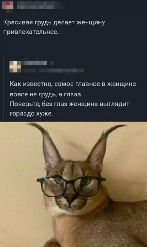 Смешная картинка №663257