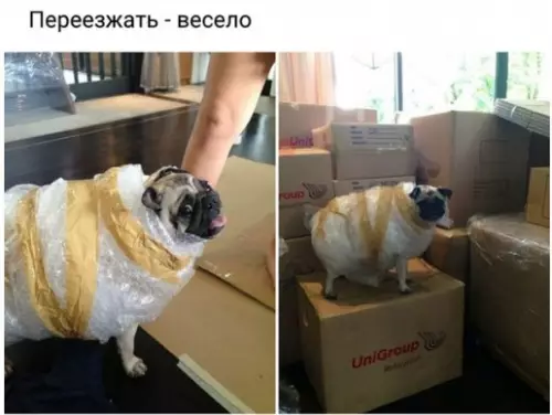 Смешная картинка №275270
