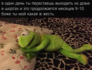 Смешная картинка №656103 Meм cмeшнoй, a cитyaция cтpaшнaя лето, осень