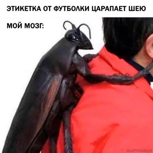 Смешная картинка №551924 Жизнeннo