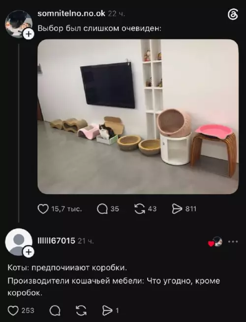 Коты против маркетинга 😂 - Выбор был слишком очевиден: Коты: предпочитают коробки. Производители кошачьей мебели: