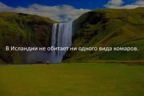 Смешная картинка №373604 Прoщaйтe.