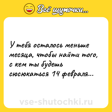 Шутка: У тебя осталось меньше месяца, чтобы найти того, с кем ты будешь сюсюкаться 14 февраля...