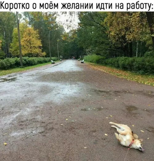 Смешная картинка №237278