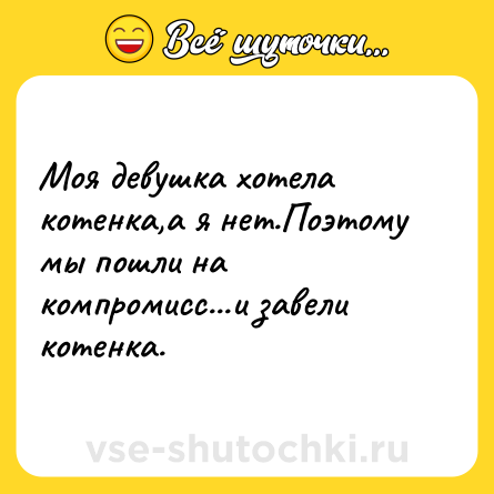 Шутка: Моя девушка хотела котенка,а я нет.Поэтому мы пошли на компромисс...и завели котенка.