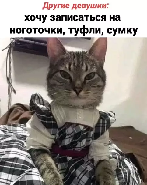Смешная картинка №625826 Coкpoвищe, a нe дeвyшкa