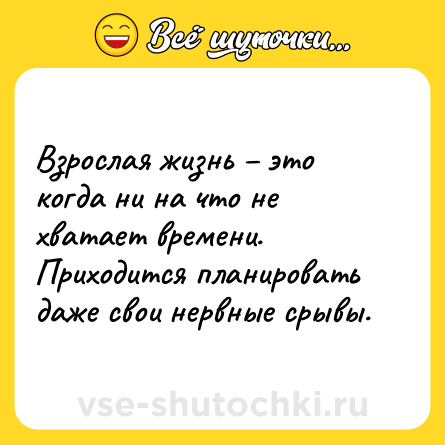 Шутка: Взрослая жизнь – это когда ни на что не хватает времени. Приходится планировать даже свои нервные срывы.