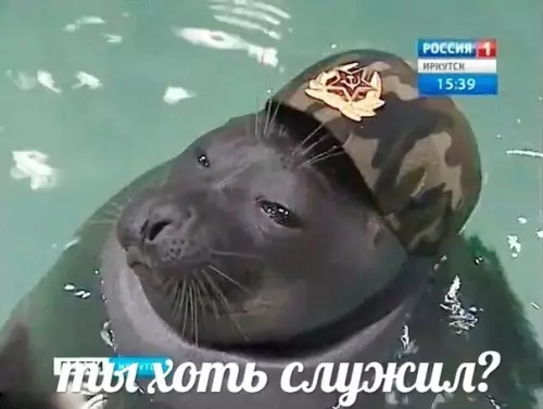 Смешная картинка №436266 я: *открываю кастрюлю* 
картофель в мундире: