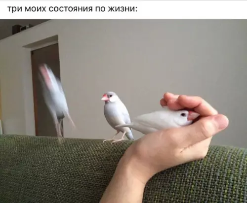 Смешная картинка №679698
