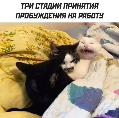 Смешная картинка №699523