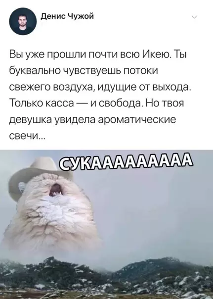 Смешная картинка №315534 девушки
