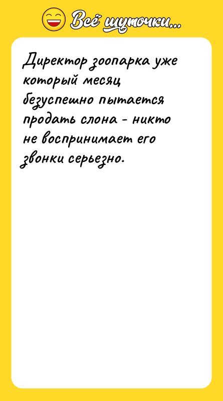 Директор зоопарка уже который месяц безуспешно пытается продать слона -