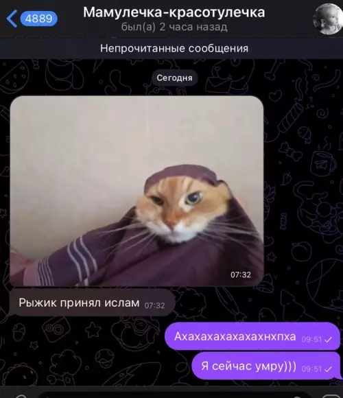 Смешная картинка №696979 Сообщение от мамы в 7 утра: