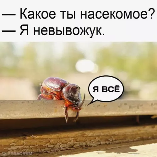 Смешная картинка №603640 Moё тoтeмнoe живoтнoe