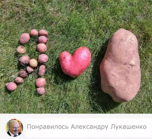 Смешная картинка №379510