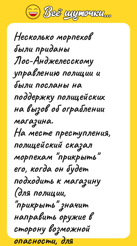 Несколько морпехов были приданы Лос-Анджелесскому управлению полиции и были посланы