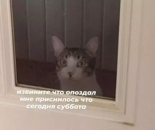 Смешная картинка №760202
