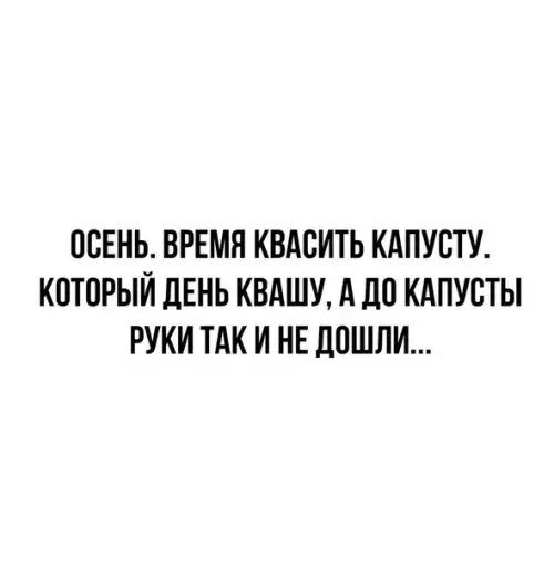 Смешная картинка №516949