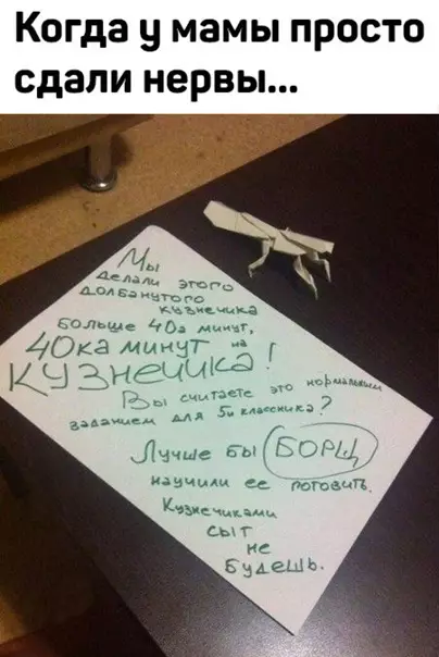 Смешная картинка №554673 Когда сдали нервы.