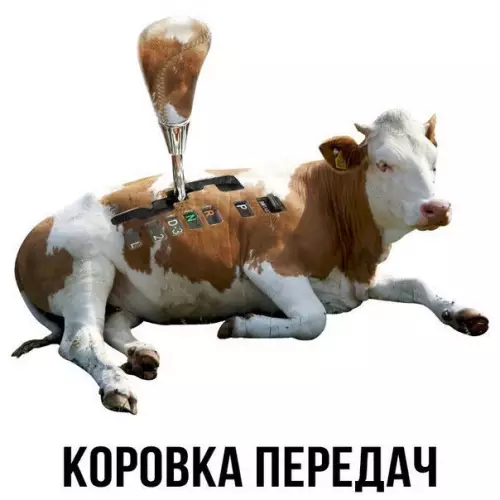 Смешная картинка №186657